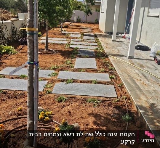 שביל אבנים בגינה עם צינורות השקיה ופרחים